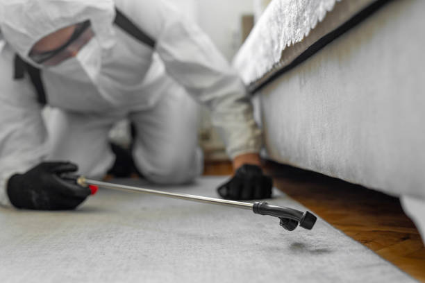 Professional Termite Control technician working in Concord, MO