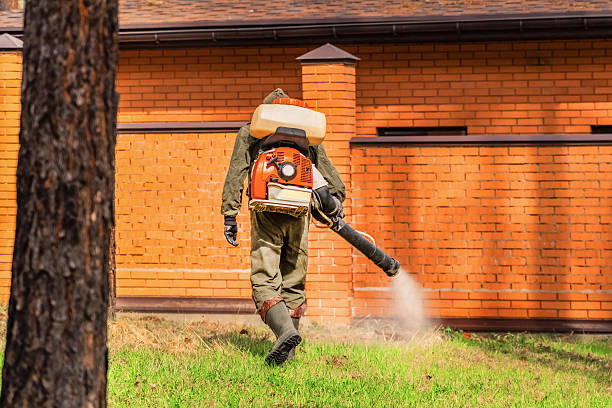 Top rated local Termite Control specialists in Concord, MO